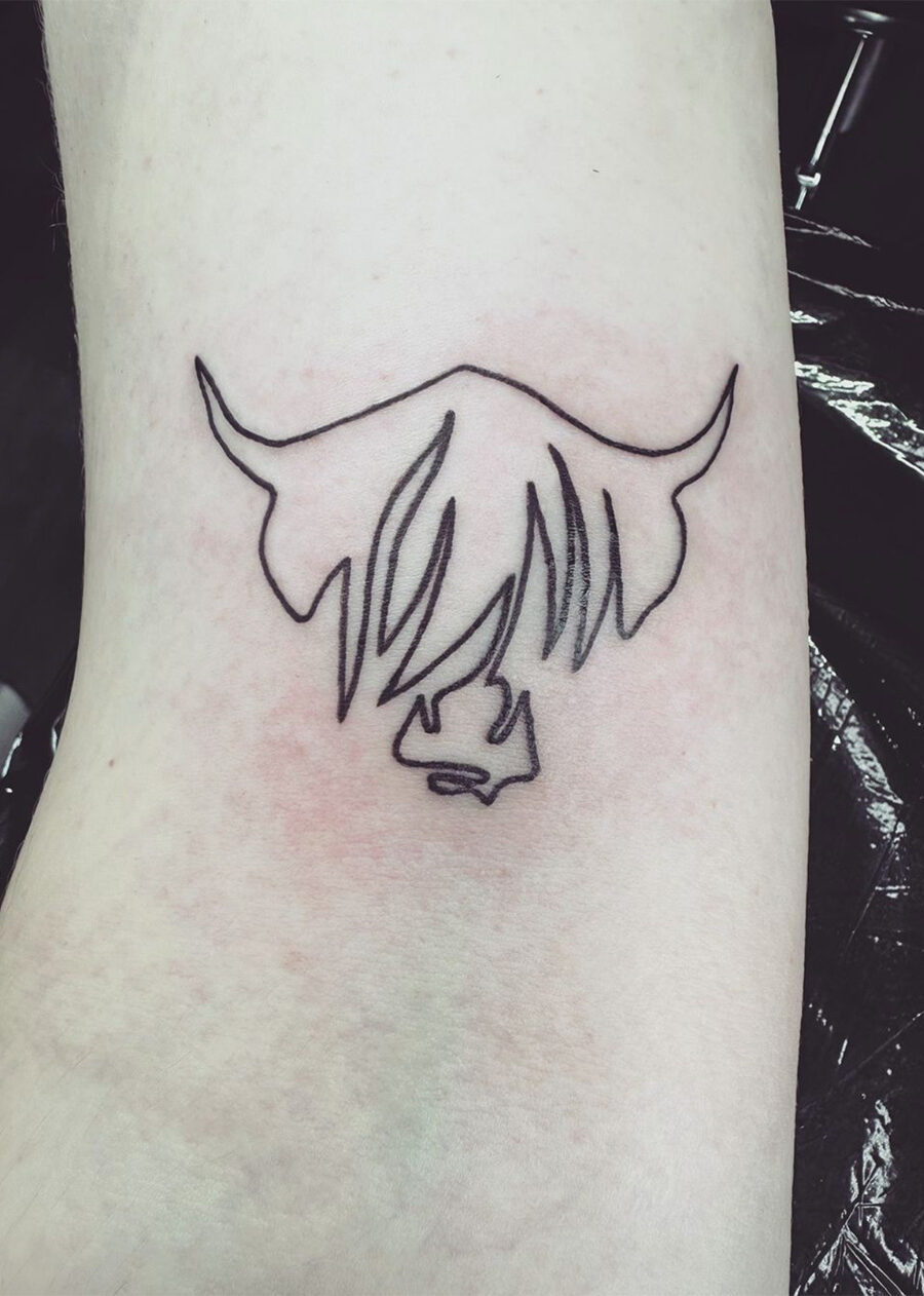 Highland cow tattoo by tattoo artist Marcus Kingsland at Markings Tattoos in Beverley, East Riding of Yorkshire.