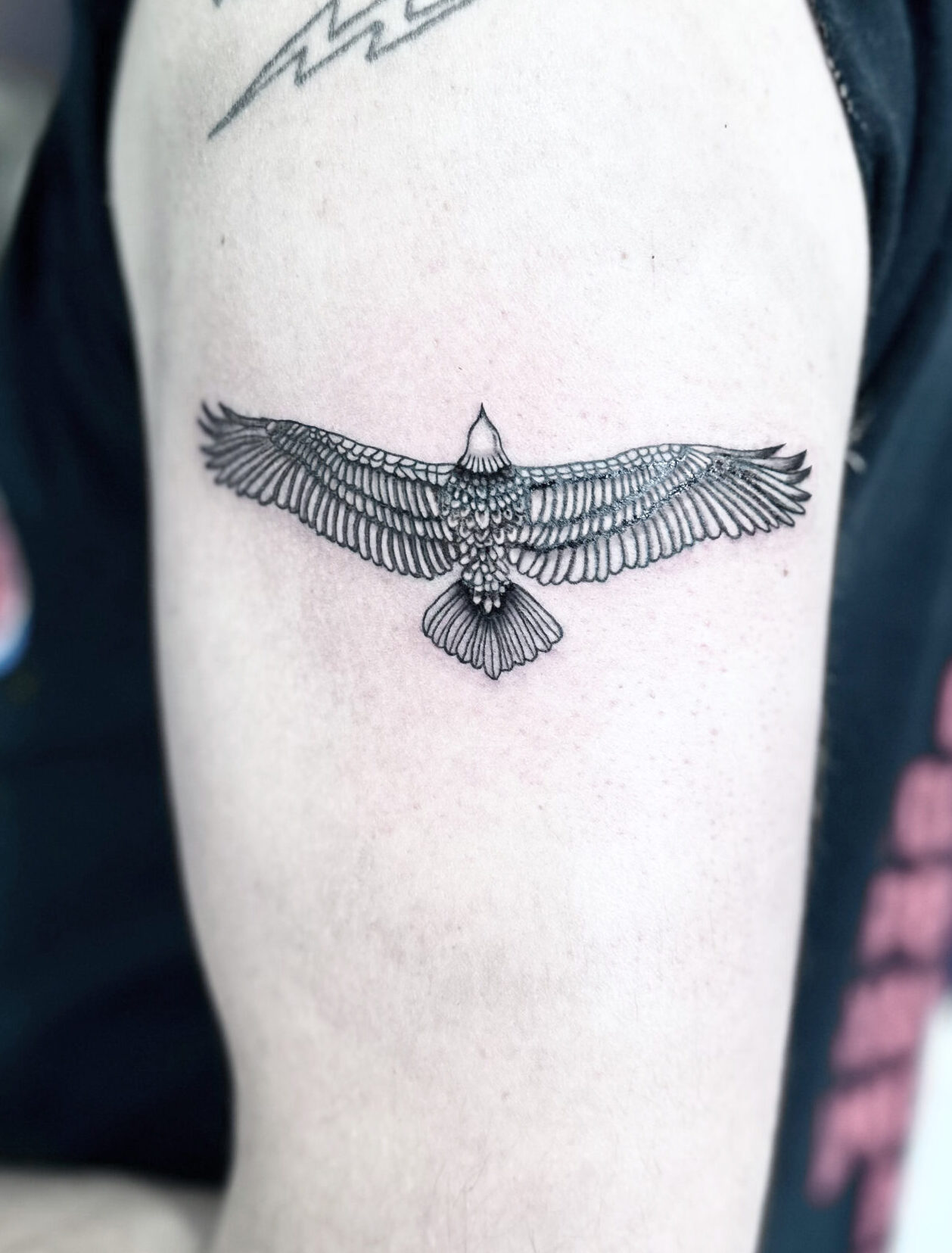 Fine line bald eagle tattoo by tattoo artist Marcus Kingsland at Markings Tattoos in Beverley, East Riding of Yorkshire.