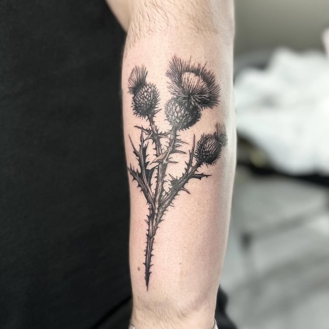 Scottish thistle tattoo by artist Marcus Kingsland at Markings Tattoos in Beverley, East Riding of Yorkshire.